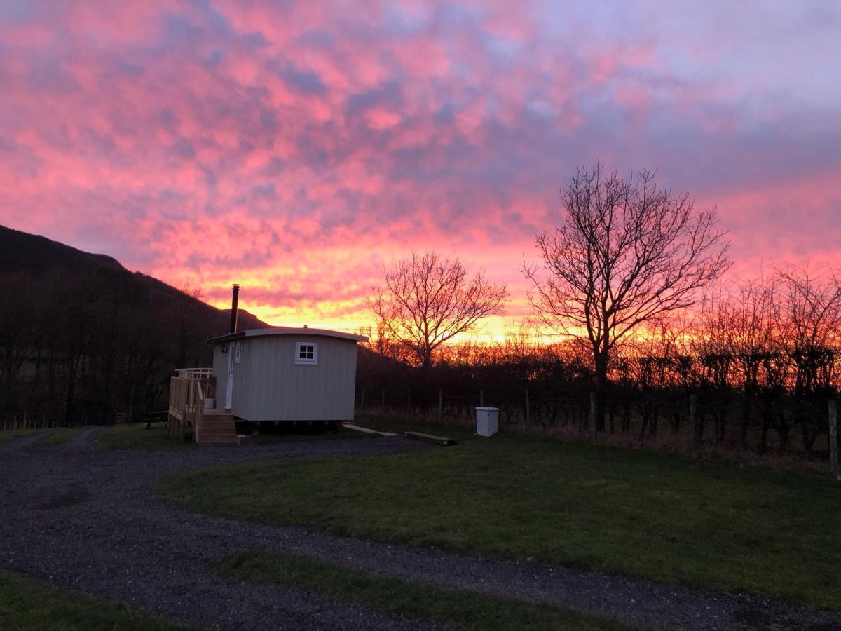 Clay Bank Huts, Roseberry Shepherds Hut