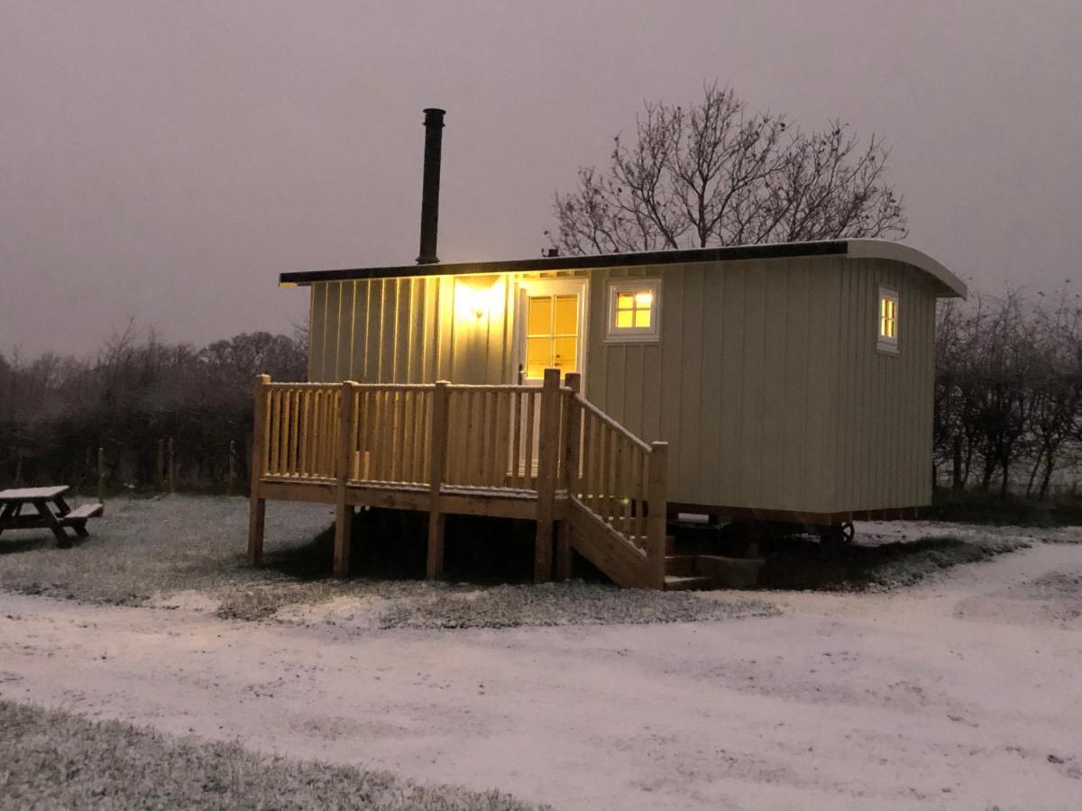 Clay Bank Huts, Roseberry Shepherds Hut Campsite *